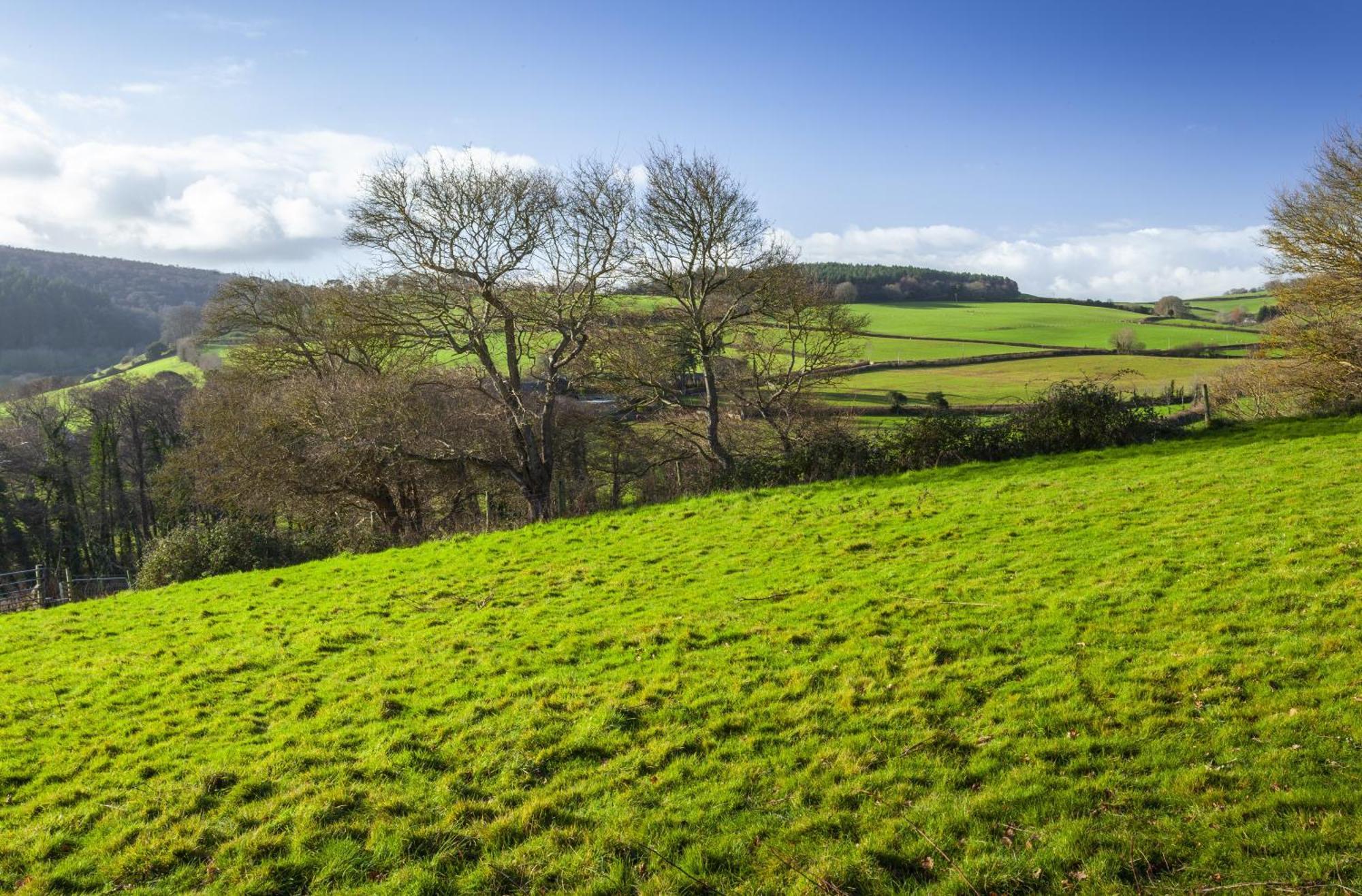 The Garden Studio Woodcombe Minehead Exteriér fotografie